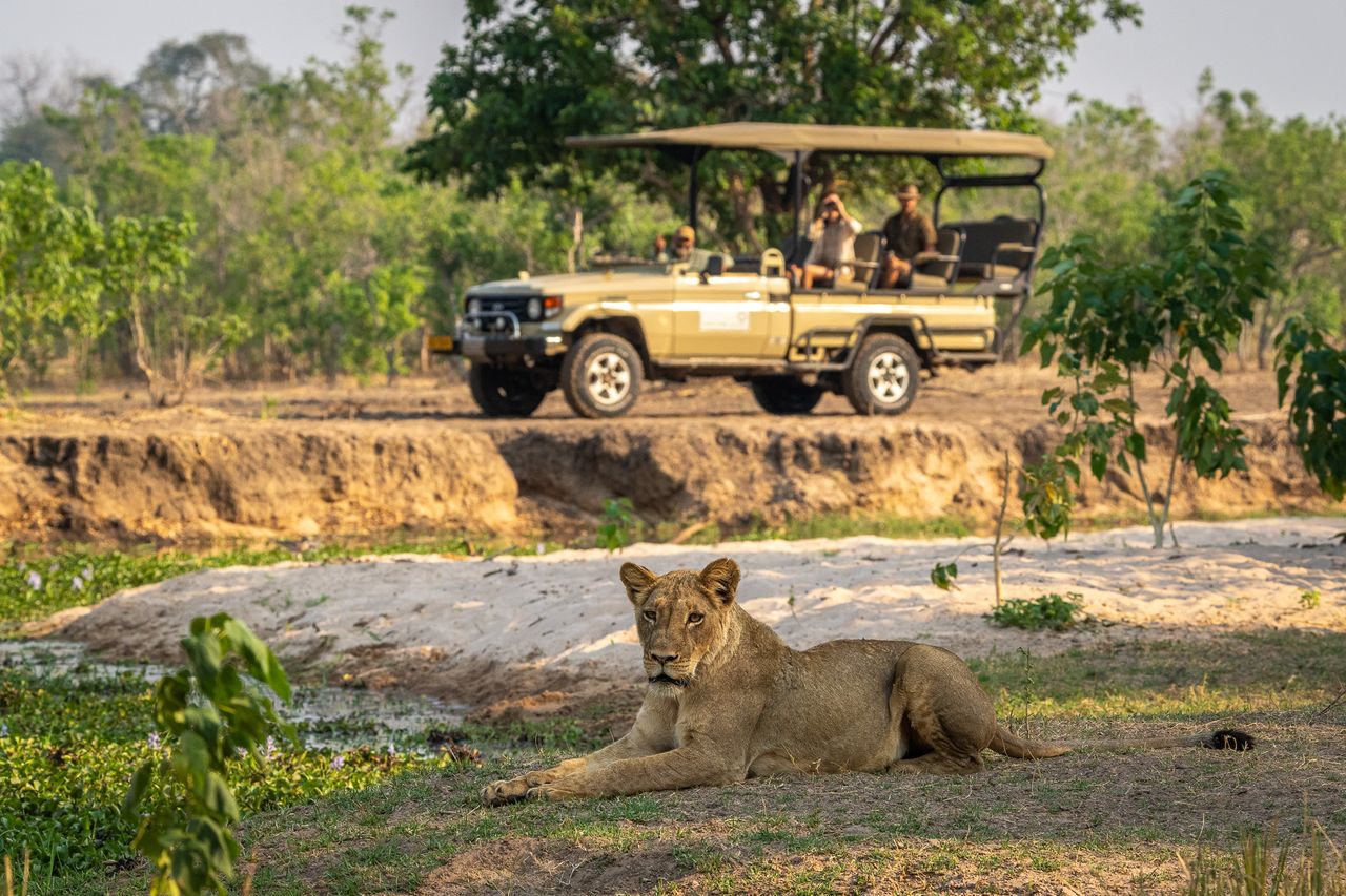 Hwange Robin pope